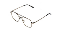 Load image into Gallery viewer, Anthony Aiden Opticians Elvis Brushed Silver
